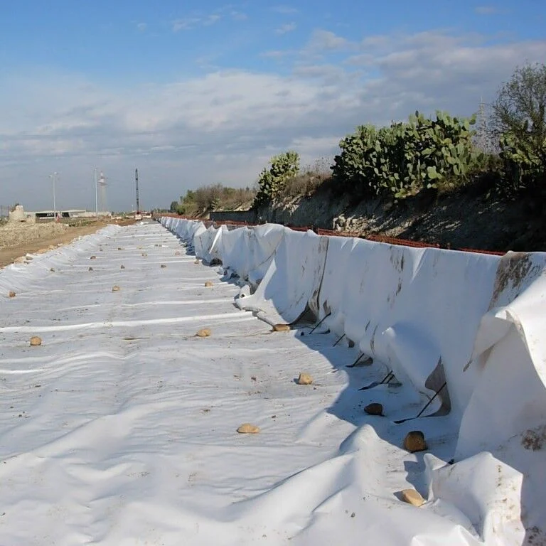 Building Material Geosynthetics Pet PP Polypropylene Polyester